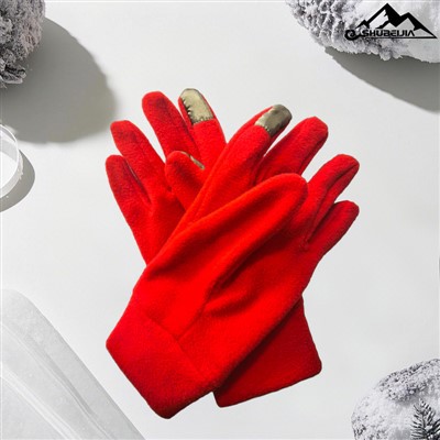 ফ্লাইস গ্লোভস